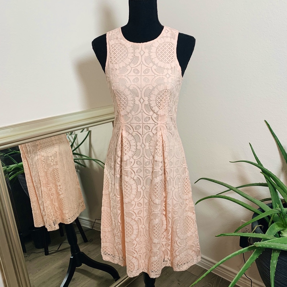 Boutique Vintage Inspired Pink Lace Sheath Dress